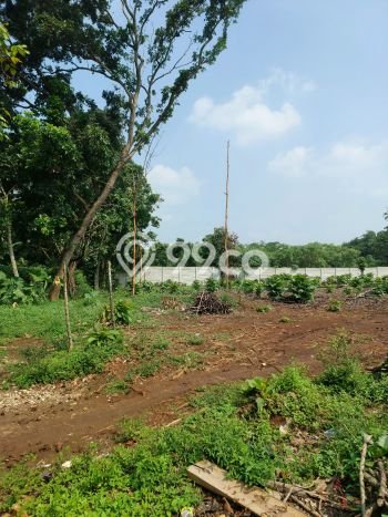 Untuk Dijual Tanah di Cisauk Tangerang Luas 5160m2 SHM Untuk Dijual Tanah di Cisauk Tangerang Luas 5160m2 SHM