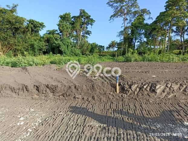 Dijual Tanah Lokasi Pering, Gianyar Seluas 100m2 Dijual Tanah Lokasi Pering, Gianyar Seluas 100m2