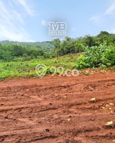Tanah Strategis Dijual di Maja Lebak 20000m2 Tanah Strategis Dijual di Maja Lebak 20000m2