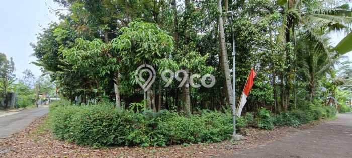 Tanah untuk Dijual Lokasi Sedayu, Bantul Luas 1833m2 SHM Tanah untuk Dijual Lokasi Sedayu, Bantul Luas 1833m2 SHM