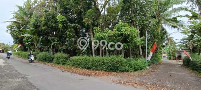 Tanah untuk Dijual Lokasi Sedayu, Bantul Luas 1833m2 SHM Tanah untuk Dijual Lokasi Sedayu, Bantul Luas 1833m2 SHM