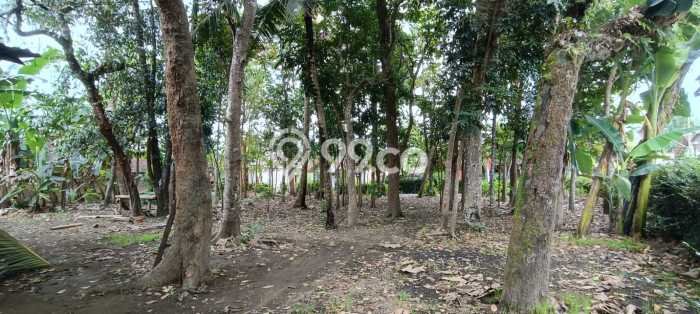 Tanah untuk Dijual Lokasi Sedayu, Bantul Luas 1833m2 SHM Tanah untuk Dijual Lokasi Sedayu, Bantul Luas 1833m2 SHM