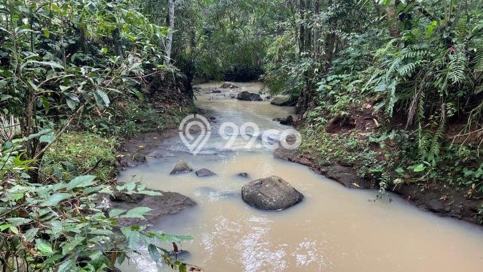 Dijual Tanah di Selemadeg Tabanan Luas 2100m2 SHM Dijual Tanah di Selemadeg Tabanan Luas 2100m2 SHM