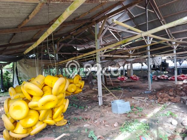 Tanah Kavling Dijual di Rejasa, Tabanan dengan Luas Tanah 3000m2 Tanah Kavling Dijual di Rejasa, Tabanan dengan Luas Tanah 3000m2