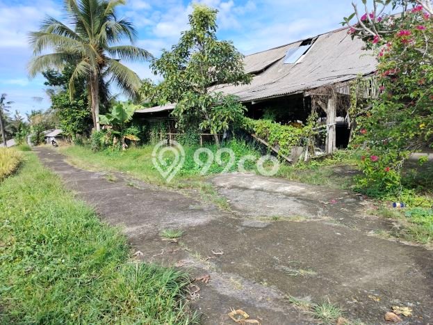Tanah Kavling Dijual di Rejasa, Tabanan dengan Luas Tanah 3000m2 Tanah Kavling Dijual di Rejasa, Tabanan dengan Luas Tanah 3000m2