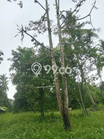 Dijual Tanah di Tabanan, Luas 15000m2 SHM Dijual Tanah di Tabanan, Luas 15000m2 SHM