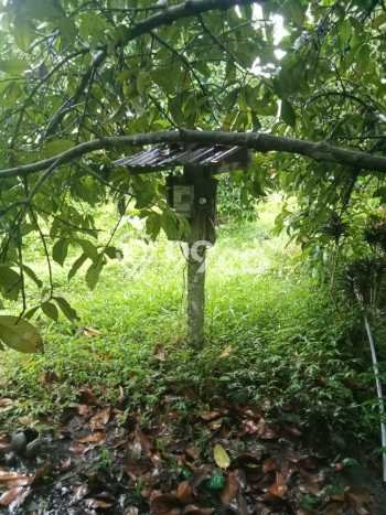 Dijual Tanah di Tabanan, Luas 15000m2 SHM Dijual Tanah di Tabanan, Luas 15000m2 SHM