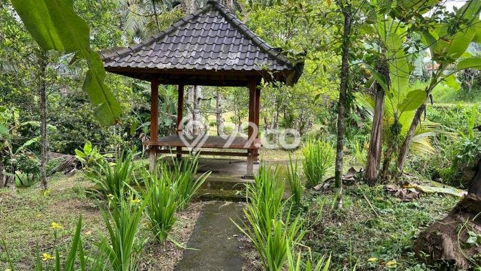 Dijual Tanah di Selemadeg Tabanan Luas 2100m2 SHM Dijual Tanah di Selemadeg Tabanan Luas 2100m2 SHM