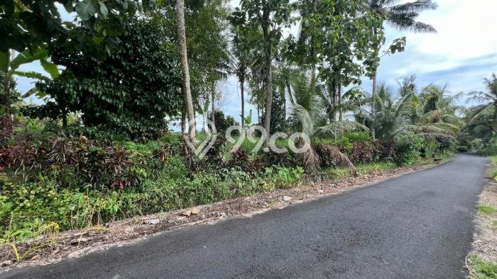 Jarang Ada! Tanah di Kerambitan Punya Luas 1250m2 SHM Jarang Ada! Tanah di Kerambitan Punya Luas 1250m2 SHM