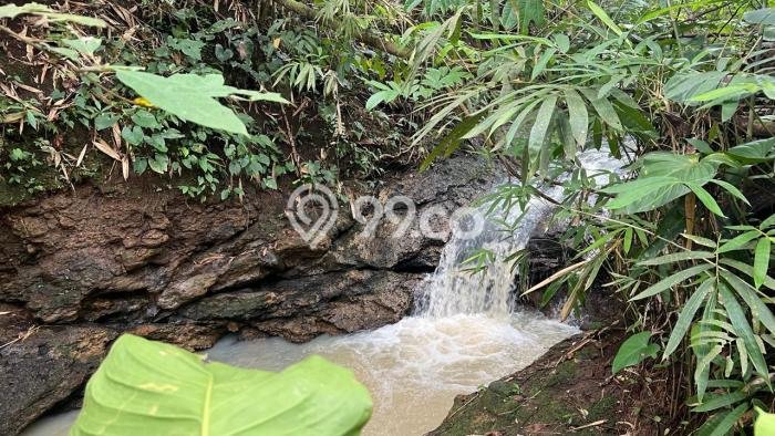 Dijual Tanah di Selemadeg Tabanan Luas 2100m2 SHM Dijual Tanah di Selemadeg Tabanan Luas 2100m2 SHM
