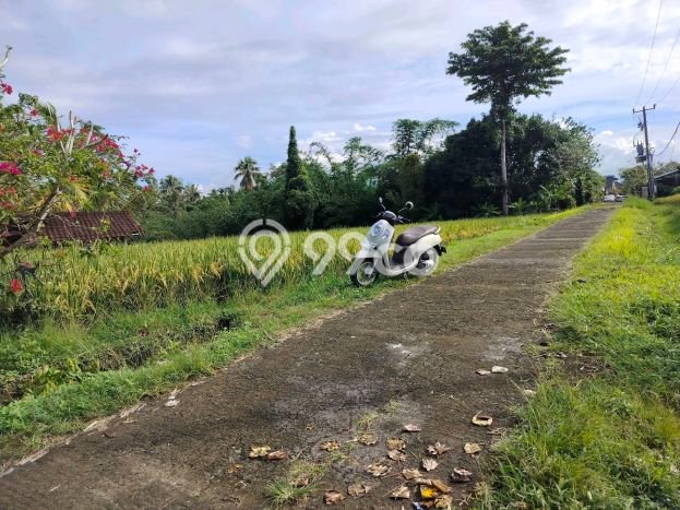 Tanah Kavling Dijual di Rejasa, Tabanan dengan Luas Tanah 3000m2 Tanah Kavling Dijual di Rejasa, Tabanan dengan Luas Tanah 3000m2