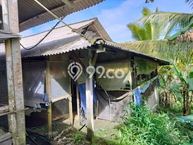 Tanah Kavling Dijual di Rejasa, Tabanan dengan Luas Tanah 3000m2 Tanah Kavling Dijual di Rejasa, Tabanan dengan Luas Tanah 3000m2