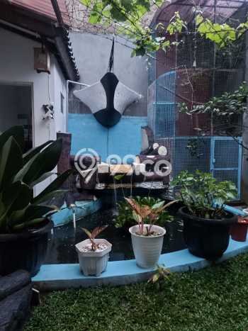 Jual Rumah Minimalis Bagus Punya 5 KT di Cimahi Tengah Cimahi SHM Jual Rumah Minimalis Bagus Punya 5 KT di Cimahi Tengah Cimahi SHM