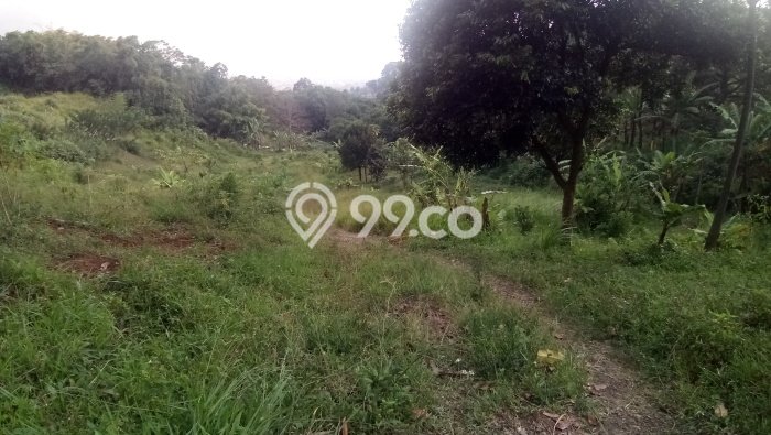 Tanah Dijual di Bandung Seluas 7865m2 Strategis Tanah Dijual di Bandung Seluas 7865m2 Strategis