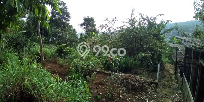 Hunian Mewah Siap Huni LT 4000m2 di Cilengkrang, Bandung Hunian Mewah Siap Huni LT 4000m2 di Cilengkrang, Bandung