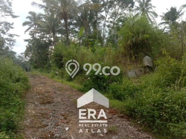 Tanah Dijual Lokasi Ampel, Boyolali dengan Luas Tanah 2790m2 dan Status SHM Tanah Dijual Lokasi Ampel, Boyolali dengan Luas Tanah 2790m2 dan Status SHM