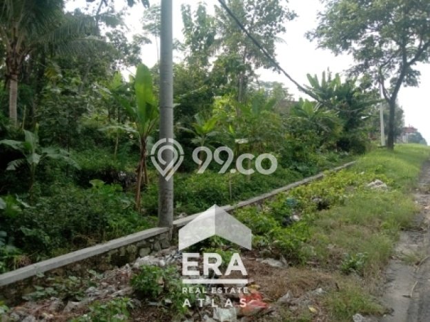Tanah Dijual Lokasi Ampel, Boyolali dengan Luas Tanah 2790m2 dan Status SHM Tanah Dijual Lokasi Ampel, Boyolali dengan Luas Tanah 2790m2 dan Status SHM