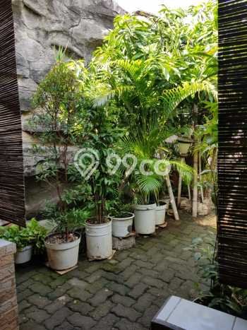 Rumah Modern Minimalis 5 Kamar Siap Huni di Pamulang Rumah Modern Minimalis 5 Kamar Siap Huni di Pamulang