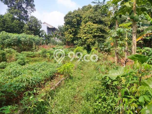 Tanah Kavling Dijual di Depok I, Depok dengan Luas Tanah 1500m2 Tanah Kavling Dijual di Depok I, Depok dengan Luas Tanah 1500m2