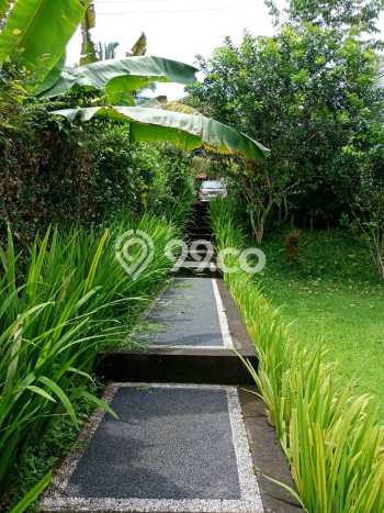 Vila Disewakan di Gianyar, Area 0m2m², Lokasi Strategis, Harga Bersaing Vila Disewakan di Gianyar, Area 0m2m², Lokasi Strategis, Harga Bersaing