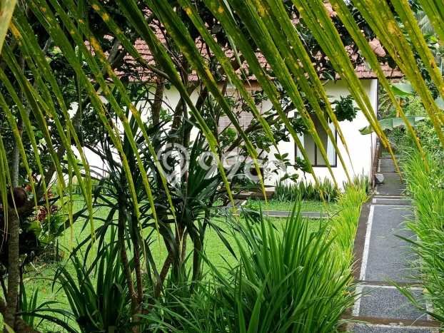 Vila Disewakan di Gianyar, Area 0m2m², Lokasi Strategis, Harga Bersaing Vila Disewakan di Gianyar, Area 0m2m², Lokasi Strategis, Harga Bersaing