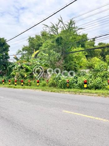 Kavling Tanah Lokasi Strategis di Bangkalan, Bangkalan Disewakan 3500m2 Kavling Tanah Lokasi Strategis di Bangkalan, Bangkalan Disewakan 3500m2