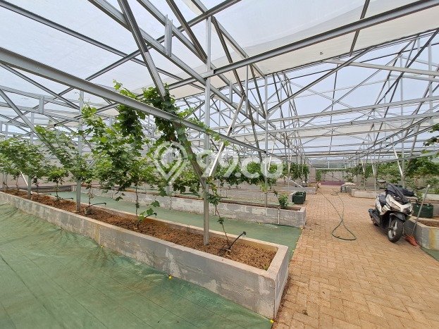 Tanah Dijual Lokasi Legok, Tangerang Luas 2000m2 Legalitas Aman Tanah Dijual Lokasi Legok, Tangerang Luas 2000m2 Legalitas Aman