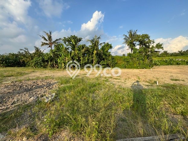 Tanah Dijual Area Strategis di Kedungu Tabanan 255m2 Tanah Dijual Area Strategis di Kedungu Tabanan 255m2