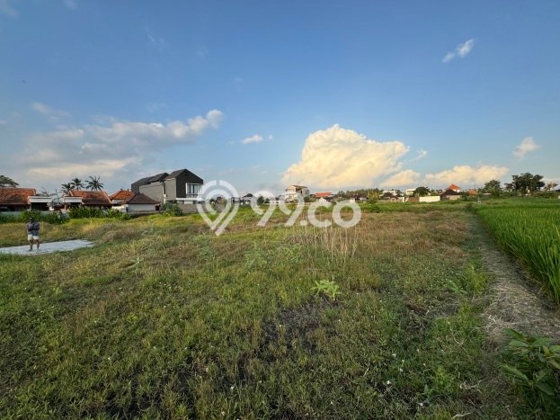 Kavling Tanah untuk Dijual di Kedungu, Tabanan, Luas 850m2 Kavling Tanah untuk Dijual di Kedungu, Tabanan, Luas 850m2
