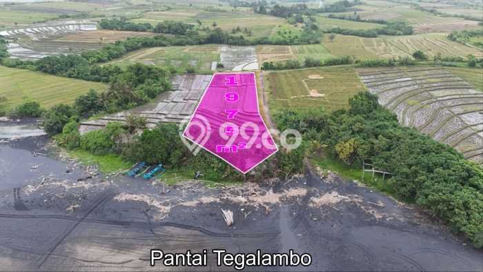 Untuk Dijual Tanah 1975m2 di Tibubiyu, Tabanan Untuk Dijual Tanah 1975m2 di Tibubiyu, Tabanan