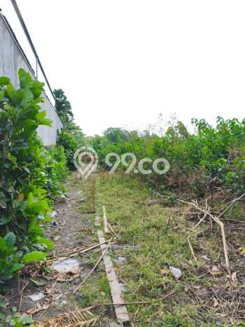 Dijual Tanah di Pererenan, Luas 1265m², Lingkungan Asri, Kontur Rata Dijual Tanah di Pererenan, Luas 1265m², Lingkungan Asri, Kontur Rata