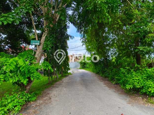 Tanah Kavling Dijual di Badung dengan Spesifikasi 2000m2 Tanah Kavling Dijual di Badung dengan Spesifikasi 2000m2