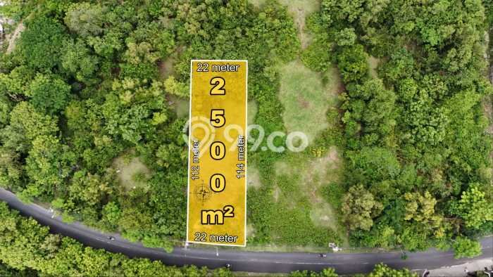 Dijual Tanah Lokasi Ungasan, Badung Seluas 2500m2 Dijual Tanah Lokasi Ungasan, Badung Seluas 2500m2