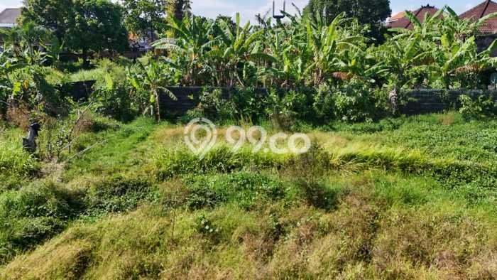 Untuk Dijual Tanah 3804m2 di Umalas, Badung Untuk Dijual Tanah 3804m2 di Umalas, Badung