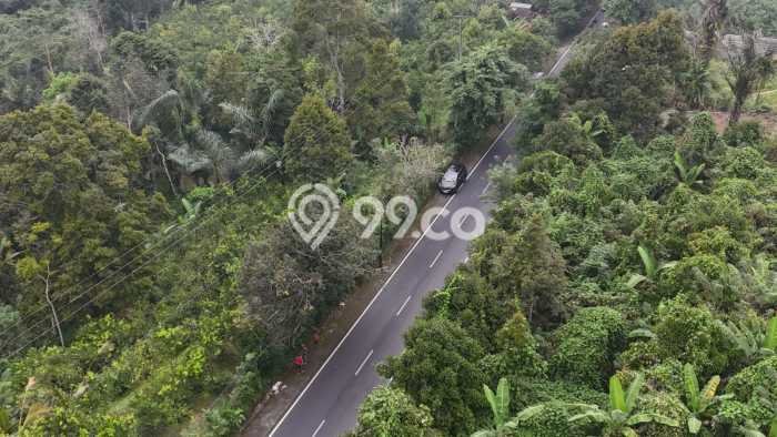 Dijual Tanah 1500m2 di Pelaga, Badung Dijual Tanah 1500m2 di Pelaga, Badung