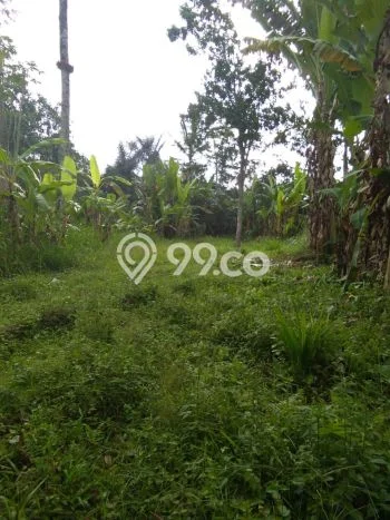 Untuk Dijual Tanah di Gianyar, Luas 2200m2 SHM Untuk Dijual Tanah di Gianyar, Luas 2200m2 SHM