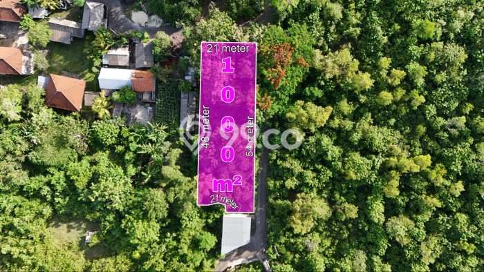 Tanah Kavling Dijual di Pecatu, Badung dengan Luas Tanah 1000m2 Tanah Kavling Dijual di Pecatu, Badung dengan Luas Tanah 1000m2