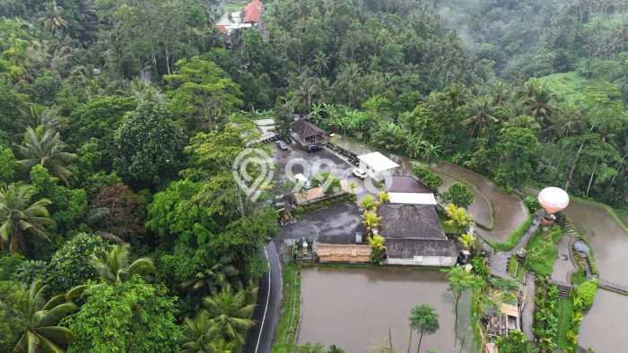Dijual Tanah Kawasan Ubud, Luas 13758m2m², Akses Ubud, Gianyar, Gianyar Dijual Tanah Kawasan Ubud, Luas 13758m2m², Akses Ubud, Gianyar, Gianyar