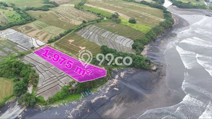 Untuk Dijual Tanah 1975m2 di Tibubiyu, Tabanan Untuk Dijual Tanah 1975m2 di Tibubiyu, Tabanan