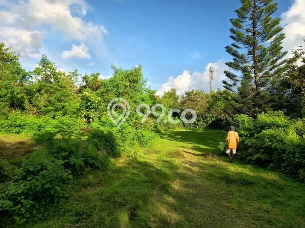 Kavling Tanah untuk Dijual di Goa Gong, Badung, Luas 2357m2 Kavling Tanah untuk Dijual di Goa Gong, Badung, Luas 2357m2