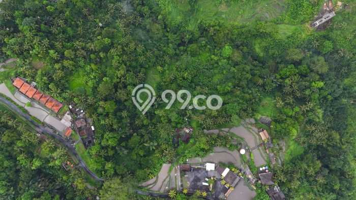 Dijual Tanah Kawasan Ubud, Luas 13758m2m², Akses Ubud, Gianyar, Gianyar Dijual Tanah Kawasan Ubud, Luas 13758m2m², Akses Ubud, Gianyar, Gianyar