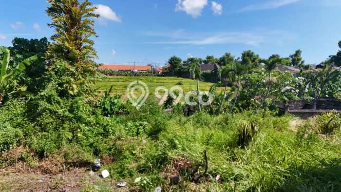 Untuk Dijual Tanah 3804m2 di Umalas, Badung Untuk Dijual Tanah 3804m2 di Umalas, Badung