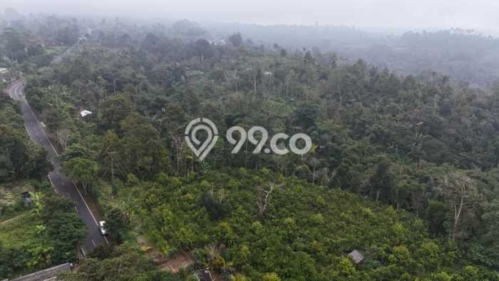 Dijual Tanah 1500m2 di Pelaga, Badung Dijual Tanah 1500m2 di Pelaga, Badung