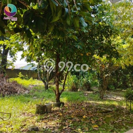 Tanah Dijual Lokasi Cileungsi, Bogor Luas 3955m2 Legalitas Aman Tanah Dijual Lokasi Cileungsi, Bogor Luas 3955m2 Legalitas Aman