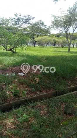 Untuk Dijual Tanah di Serang Serang Luas 180m2 PPJB Untuk Dijual Tanah di Serang Serang Luas 180m2 PPJB