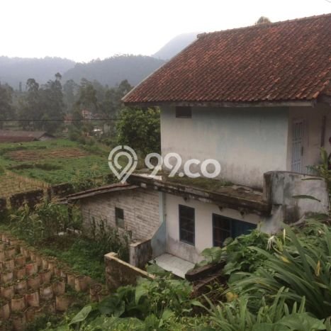 Tanah Murah Untuk Investasi di Ciwidey Jawa Barat Tanah Murah Untuk Investasi di Ciwidey Jawa Barat