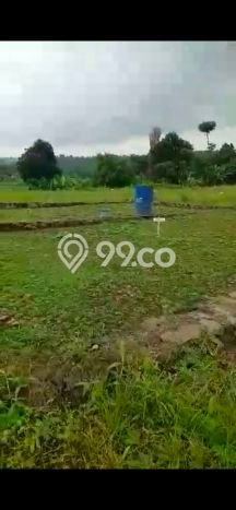 Lahan untuk Dijual di Subang Subang Luas 5455m2 Lahan untuk Dijual di Subang Subang Luas 5455m2