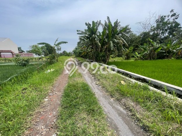 Tanah Strategis Dijual di Depok Sleman 1138m2 Tanah Strategis Dijual di Depok Sleman 1138m2