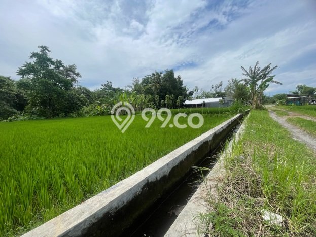 Tanah Strategis Dijual di Depok Sleman 1138m2 Tanah Strategis Dijual di Depok Sleman 1138m2