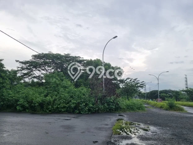 Kavling Tanah untuk Disewa di Rorotan Lahan Luas 40000m2 Kavling Tanah untuk Disewa di Rorotan Lahan Luas 40000m2
